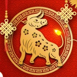 Meet your Posher, Alejandro